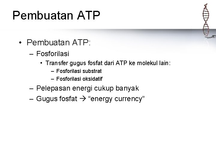 Pembuatan ATP • Pembuatan ATP: – Fosforilasi • Transfer gugus fosfat dari ATP ke