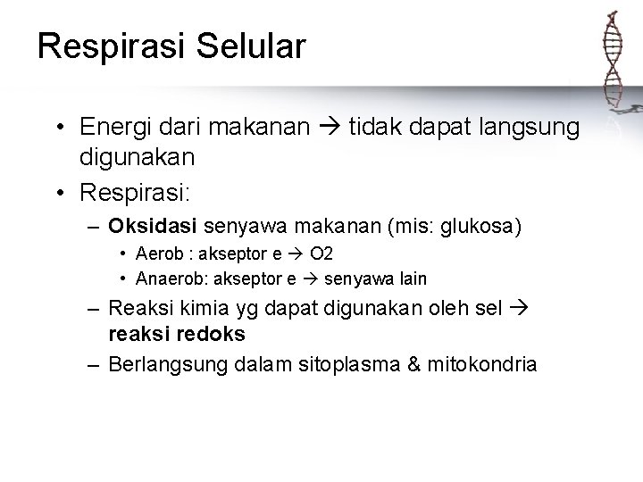 Respirasi Selular • Energi dari makanan tidak dapat langsung digunakan • Respirasi: – Oksidasi