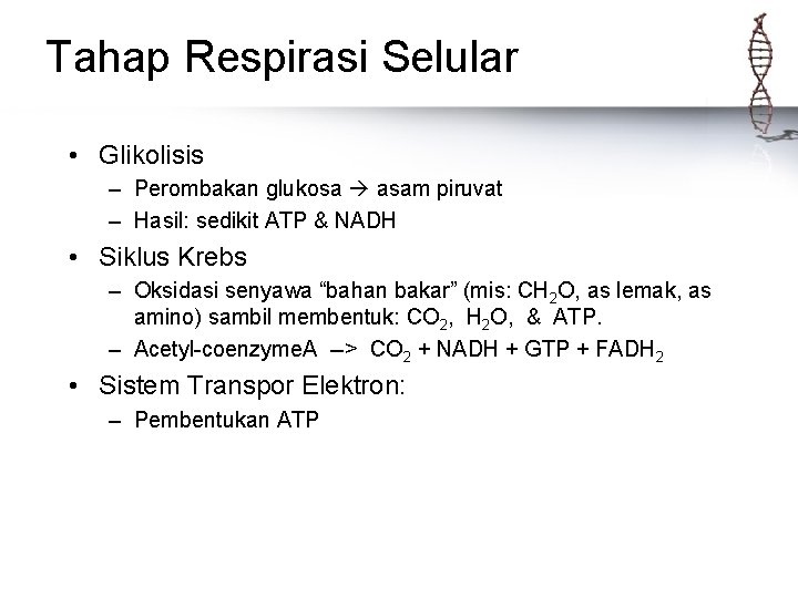 Tahap Respirasi Selular • Glikolisis – Perombakan glukosa asam piruvat – Hasil: sedikit ATP