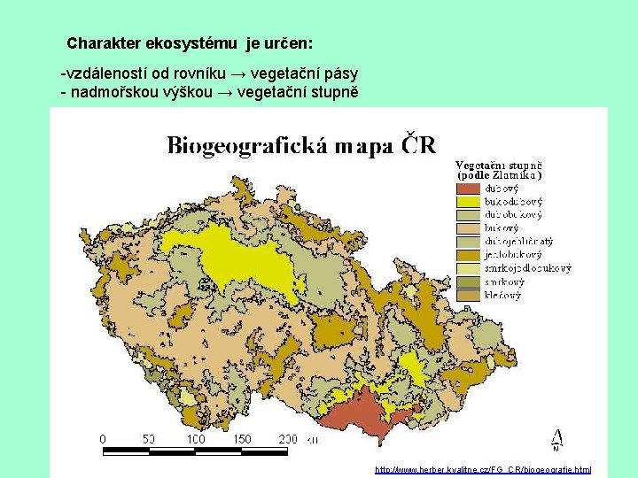 Charakter ekosystému je určen: -vzdáleností od rovníku → vegetační pásy - nadmořskou výškou →