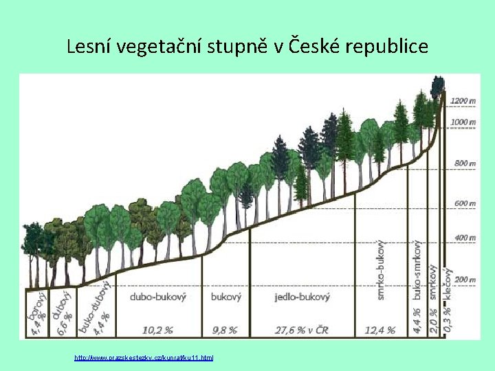Lesní vegetační stupně v České republice http: //www. prazskestezky. cz/kunrat/ku 11. html 