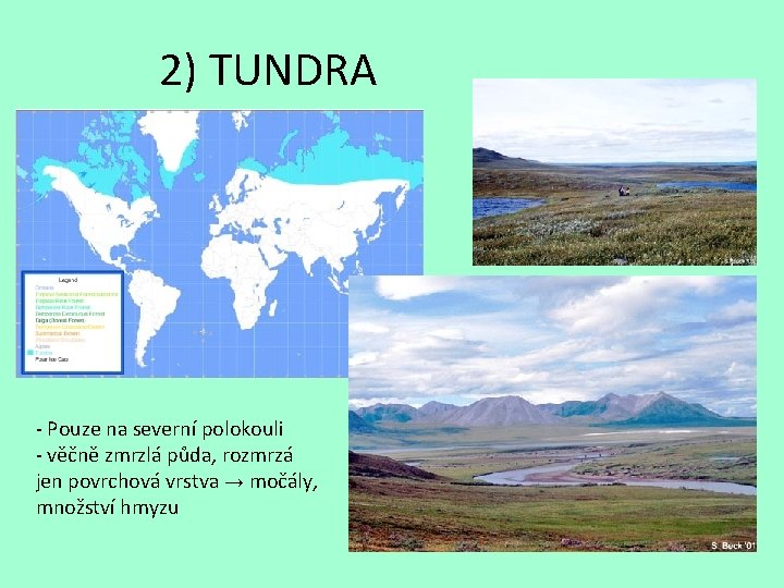 2) TUNDRA - Pouze na severní polokouli - věčně zmrzlá půda, rozmrzá jen povrchová