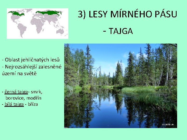 3) LESY MÍRNÉHO PÁSU - TAJGA - Oblast jehličnatých lesů - Nejrozsáhlejší zalesněné území