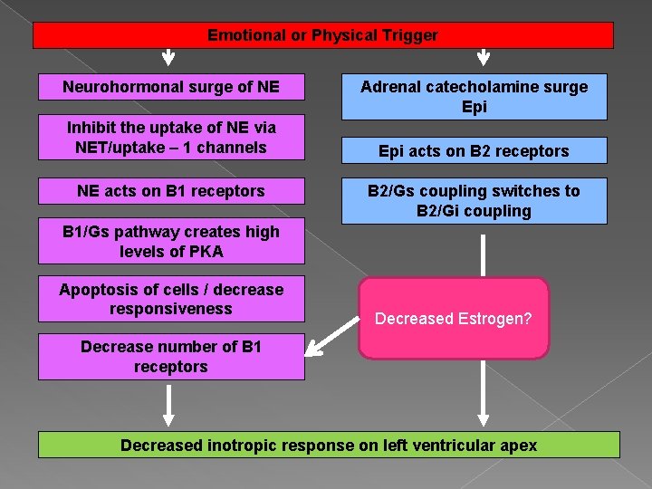 Emotional or Physical Trigger Neurohormonal surge of NE Inhibit the uptake of NE via