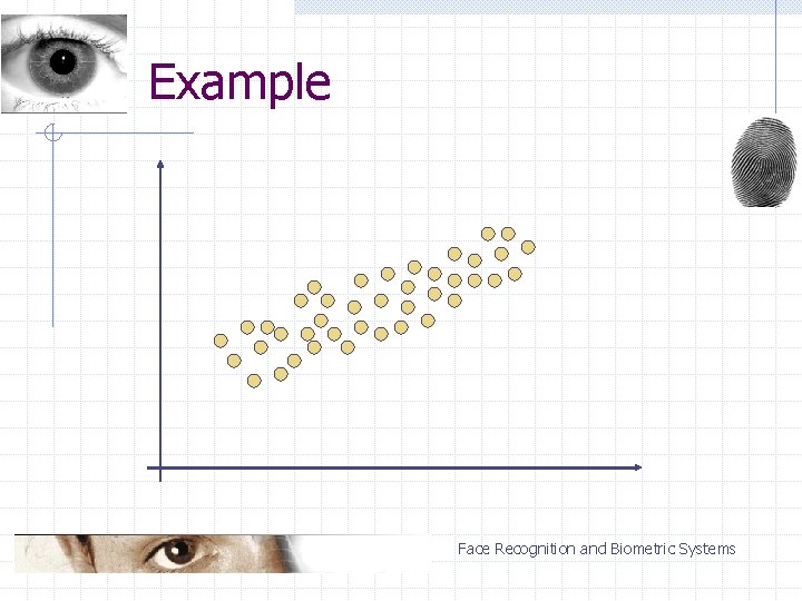 Example Face Recognition and Biometric Systems 