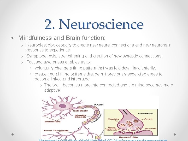 2. Neuroscience • Mindfulness and Brain function: o Neuroplasticity: capacity to create new neural