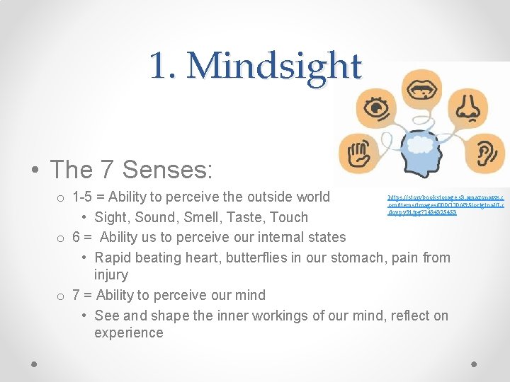 1. Mindsight • The 7 Senses: https: //storybookstorage. s 3. amazonaws. c o 1