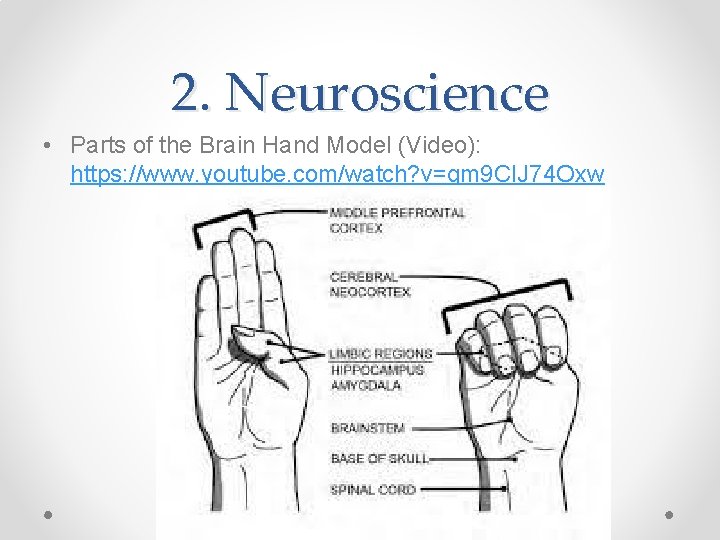 2. Neuroscience • Parts of the Brain Hand Model (Video): https: //www. youtube. com/watch?
