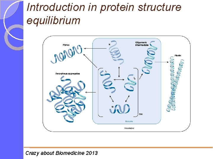 Introduction in protein structure equilibrium Crazy about Biomedicine 2013 