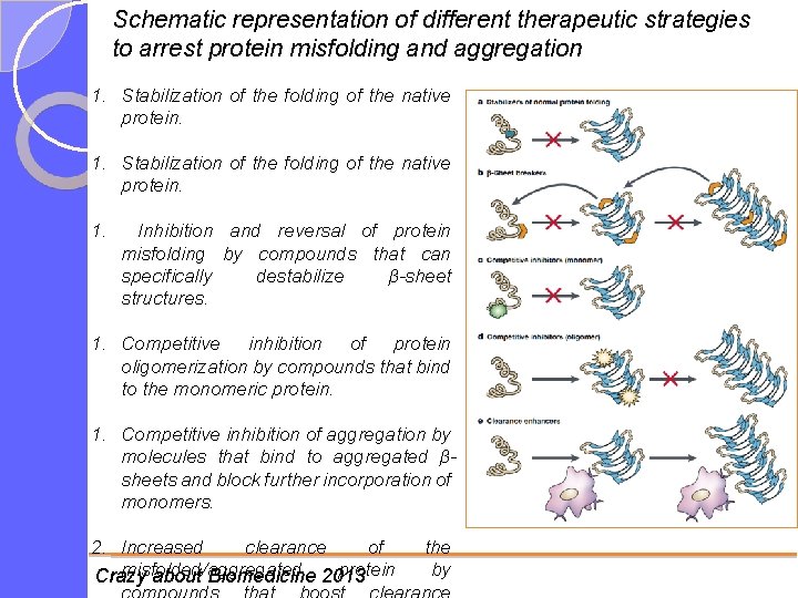 Schematic representation of different therapeutic strategies to arrest protein misfolding and aggregation 1. Stabilization