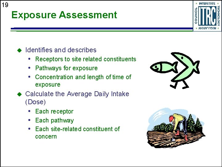 19 Exposure Assessment u Identifies and describes • Receptors to site related constituents •