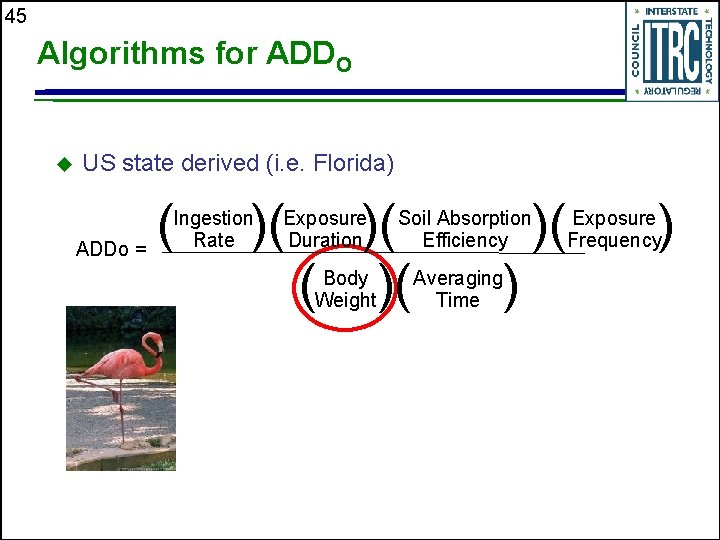 45 Algorithms for ADDO u US state derived (i. e. Florida) ADDo = (