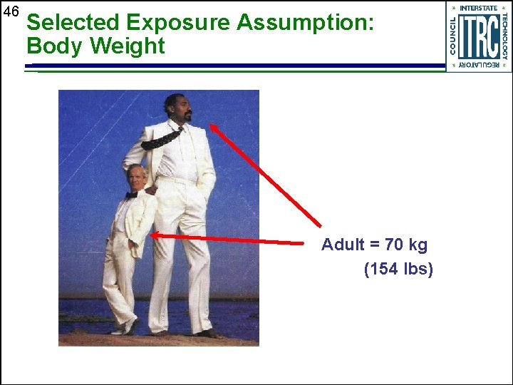 46 Selected Exposure Assumption: Body Weight Adult = 70 kg (154 lbs) 