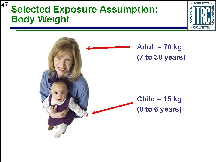 47 Selected Exposure Assumption: Body Weight Adult = 70 kg (7 to 30 years)