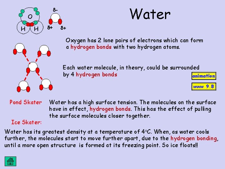 O H Water - H + + Oxygen has 2 lone pairs of electrons O H Water - H + + Oxygen has 2 lone pairs of electrons