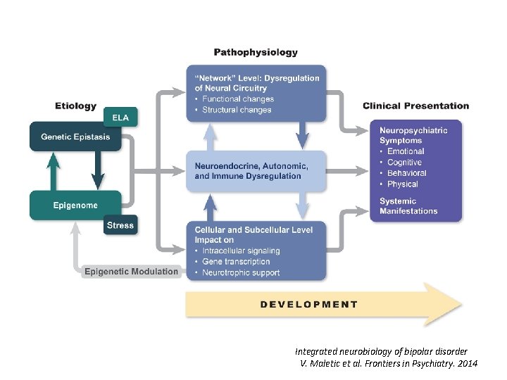 Integrated neurobiology of bipolar disorder V. Maletic et al. Frontiers in Psychiatry. 2014 