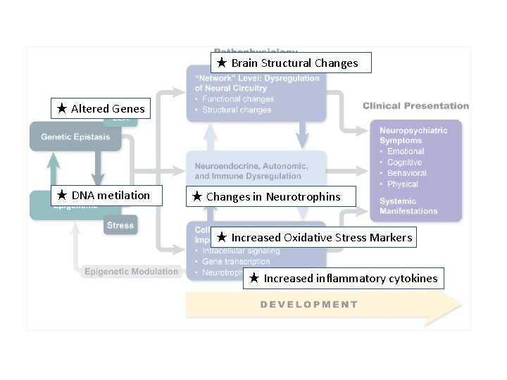 ★ Brain Structural Changes ★ Altered Genes ★ DNA metilation ★ Changes in Neurotrophins