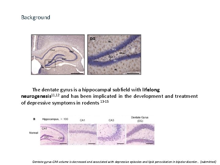 Background The dentate gyrus is a hippocampal subfield with lifelong neurogenesis 11, 12 and