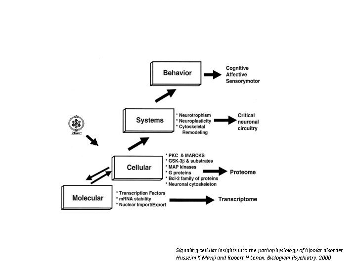 Signaling cellular insights into the pathophysiology of bipolar disorder. Husseini K Manji and Robert