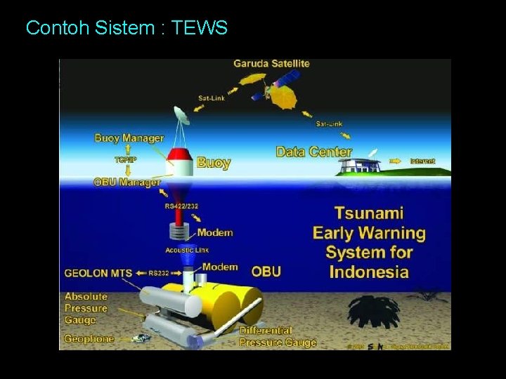Contoh Sistem : TEWS 