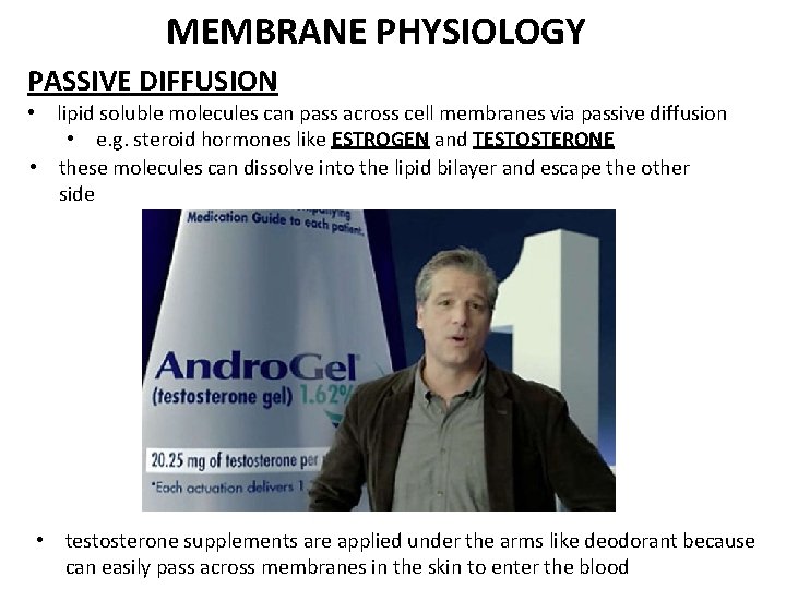 MEMBRANE PHYSIOLOGY PASSIVE DIFFUSION • lipid soluble molecules can pass across cell membranes via