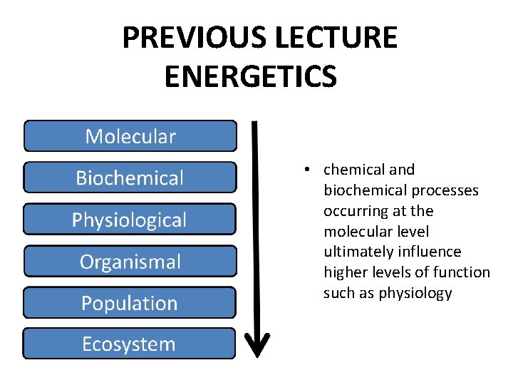 PREVIOUS LECTURE ENERGETICS • chemical and biochemical processes occurring at the molecular level ultimately