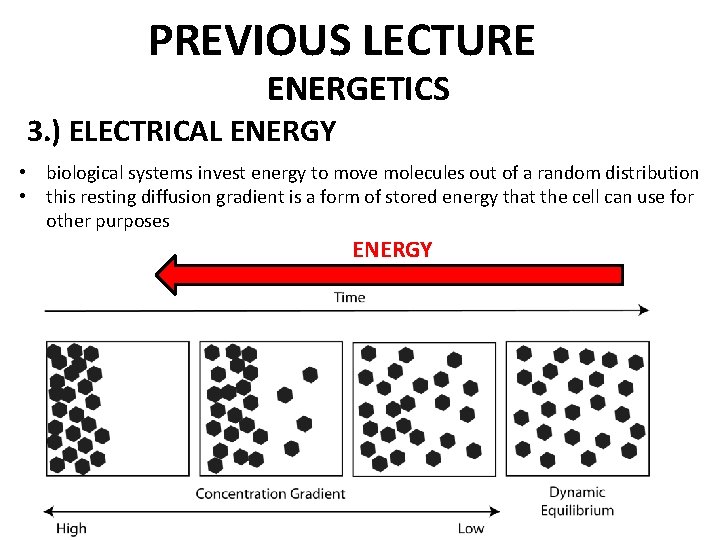PREVIOUS LECTURE ENERGETICS 3. ) ELECTRICAL ENERGY • biological systems invest energy to move