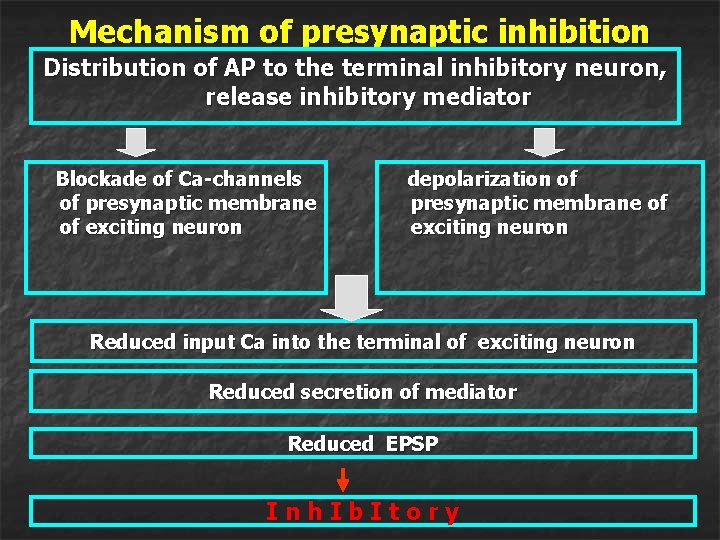 Mechanism of presynaptic inhibition Distribution of AP to the terminal inhibitory neuron, release inhibitory