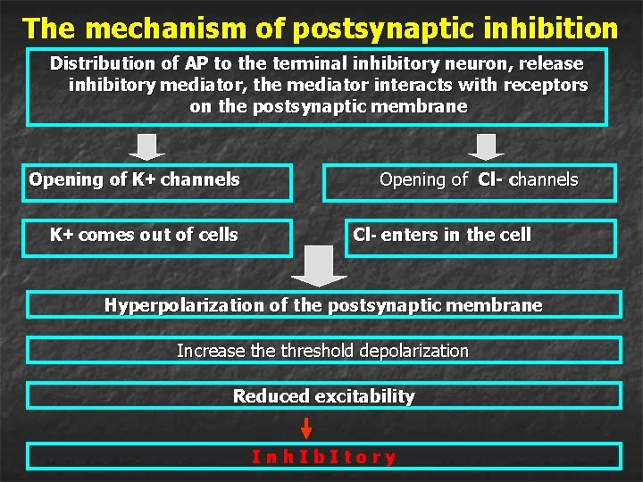 The mechanism of postsynaptic inhibition Distribution of AP to the terminal inhibitory neuron, release