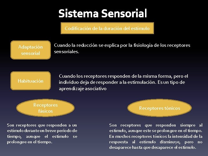 Sistema Sensorial Codificación de la duración del estímulo Adaptación sensorial Cuando la reducción se