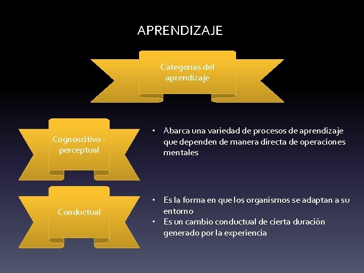 APRENDIZAJE Categorías del aprendizaje Cognoscitivo - perceptual • Abarca una variedad de procesos de