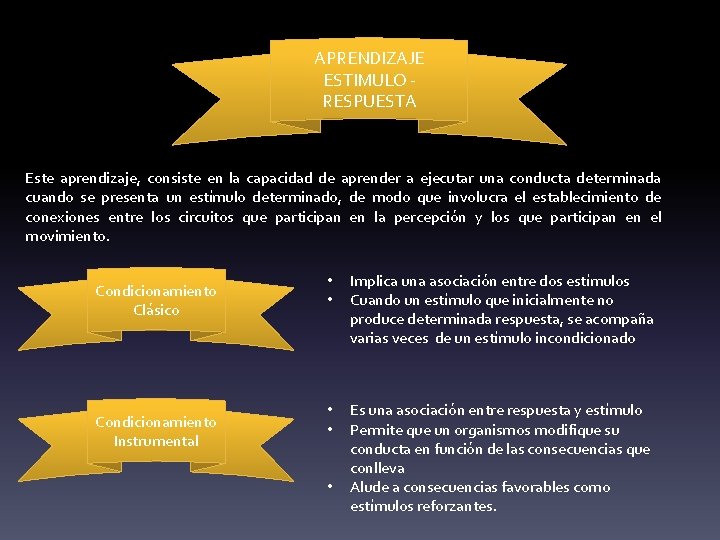 APRENDIZAJE ESTIMULO - RESPUESTA Este aprendizaje, consiste en la capacidad de aprender a ejecutar