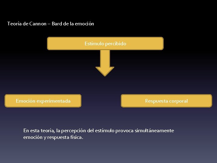 Teoría de Cannon – Bard de la emoción Estímulo percibido Emoción experimentada Respuesta corporal