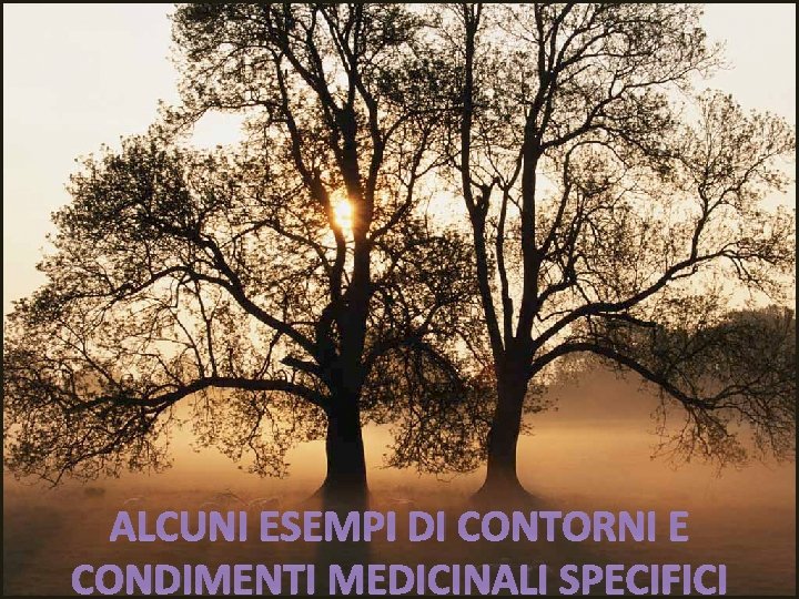 ALCUNI ESEMPI DI CONTORNI E CONDIMENTI MEDICINALI SPECIFICI 