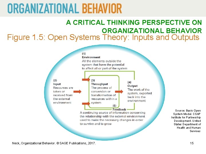 A CRITICAL THINKING PERSPECTIVE ON ORGANIZATIONAL BEHAVIOR Figure 1. 5: Open Systems Theory: Inputs