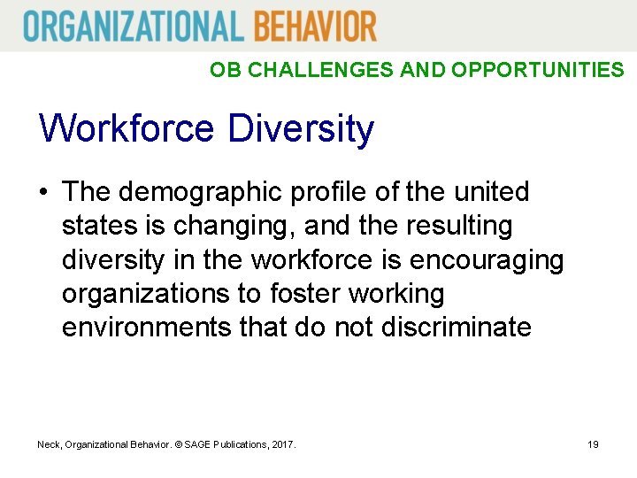 OB CHALLENGES AND OPPORTUNITIES Workforce Diversity • The demographic profile of the united states