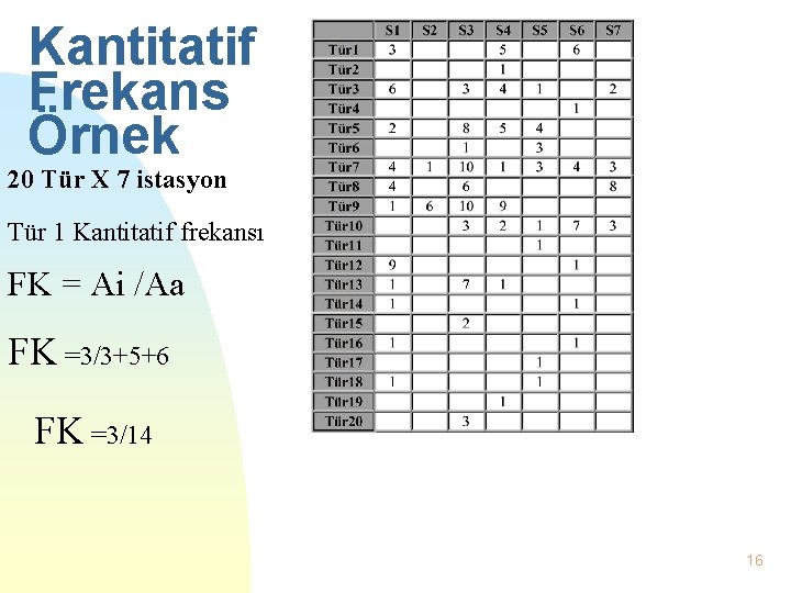 Kantitatif Frekans Örnek 20 Tür X 7 istasyon Tür 1 Kantitatif frekansı FK =