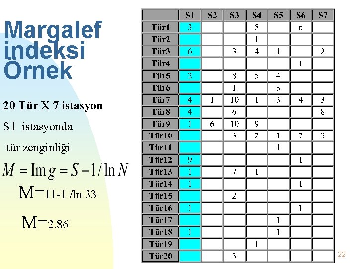 Margalef indeksi Örnek 20 Tür X 7 istasyon S 1 istasyonda tür zenginliği M=11