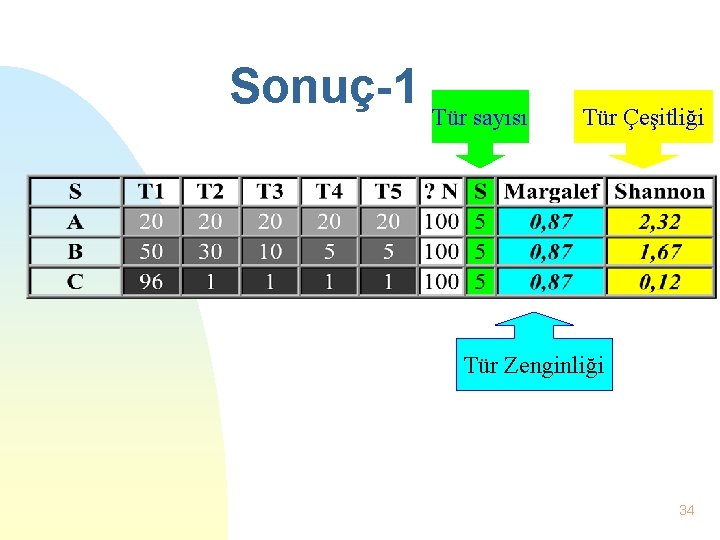 Sonuç-1 Tür sayısı Tür Çeşitliği Tür Zenginliği 34 