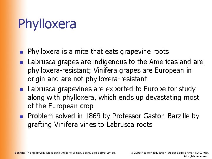 Phylloxera n n Phylloxera is a mite that eats grapevine roots Labrusca grapes are