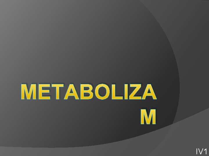 METABOLIZA M IV 1 