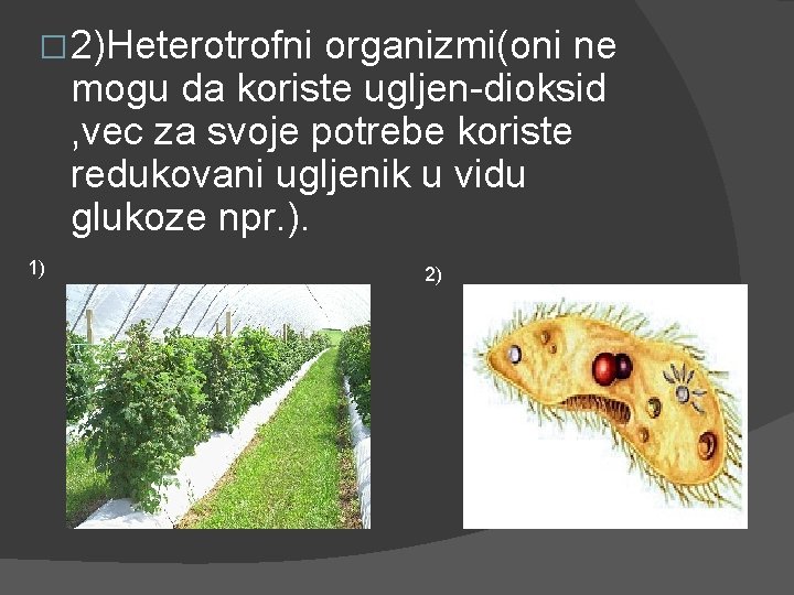 � 2)Heterotrofni organizmi(oni ne mogu da koriste ugljen-dioksid , vec za svoje potrebe koriste