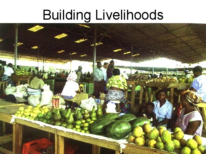 Building Livelihoods 