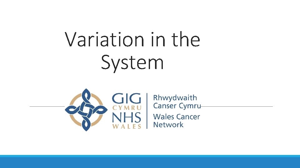 Variation in the System 