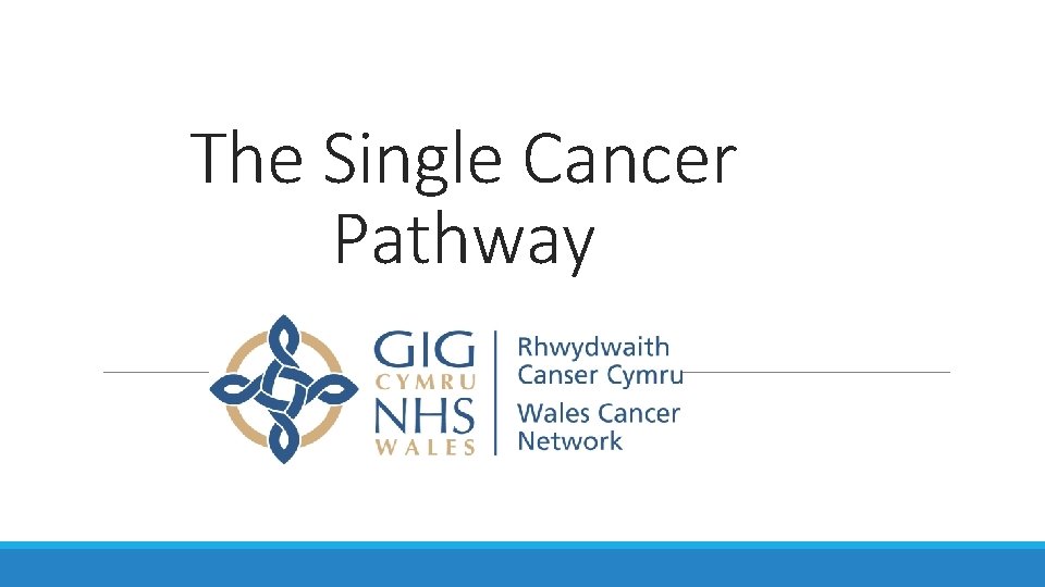 The Single Cancer Pathway 