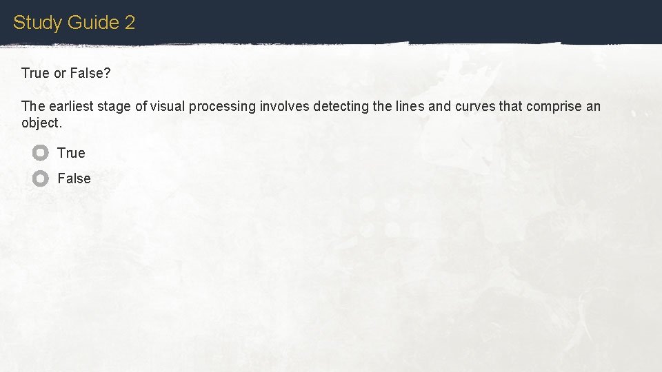 Study Guide 2 True or False? The earliest stage of visual processing involves detecting