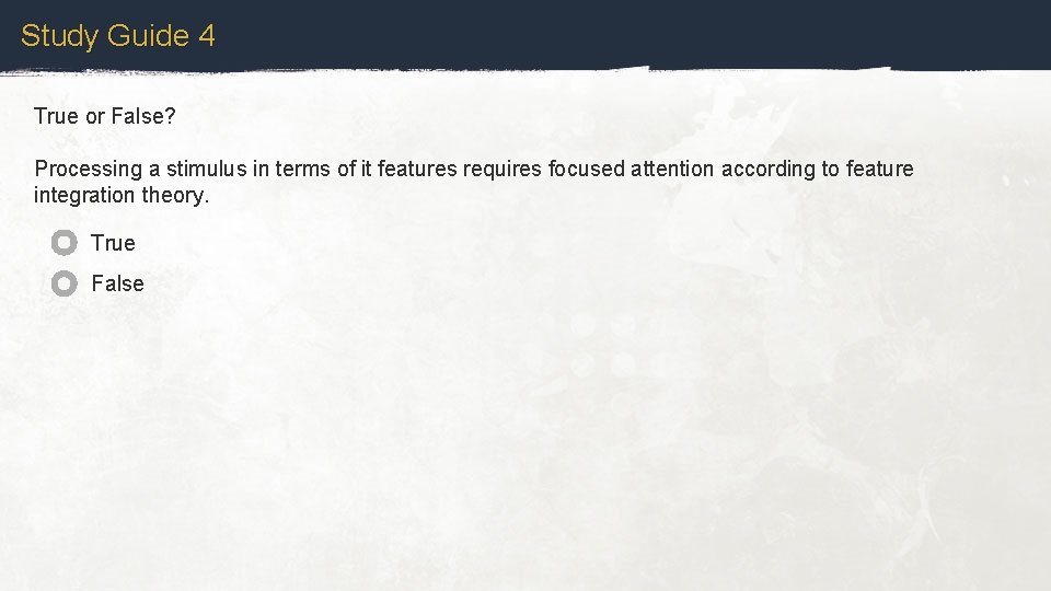 Study Guide 4 True or False? Processing a stimulus in terms of it features