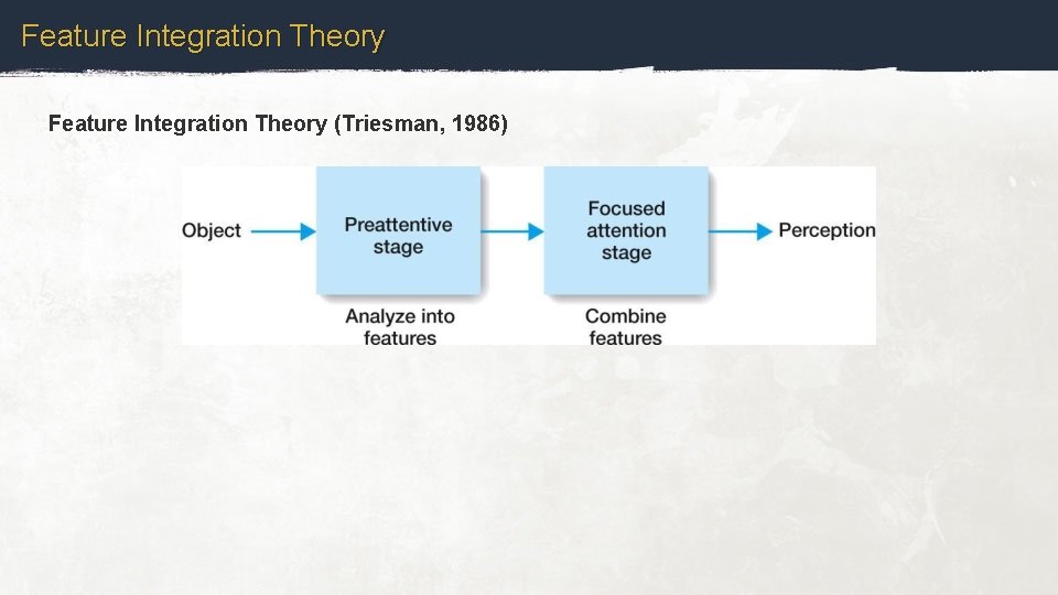 Feature Integration Theory (Triesman, 1986) 