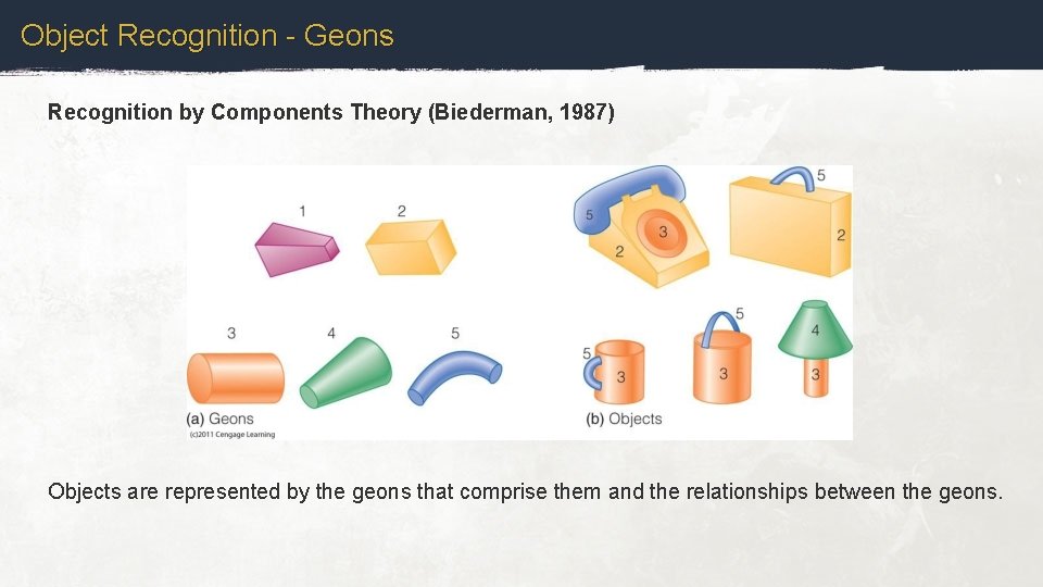 Object Recognition - Geons Recognition by Components Theory (Biederman, 1987) Objects are represented by