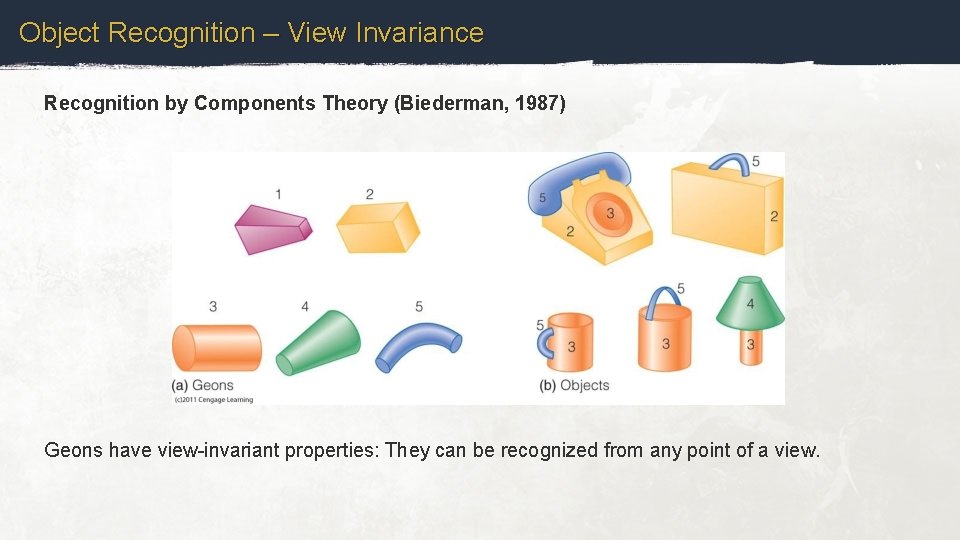 Object Recognition – View Invariance Recognition by Components Theory (Biederman, 1987) Geons have view-invariant